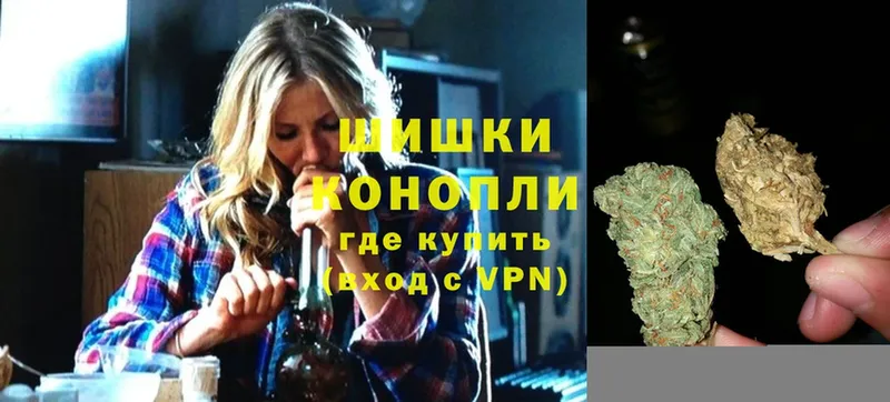 Марихуана Bruce Banner  Северская 